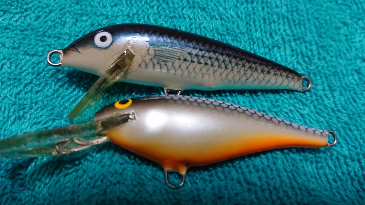マレット ボラ カラーよね Bassと女は追うな 必ず置いてきぼりを食う