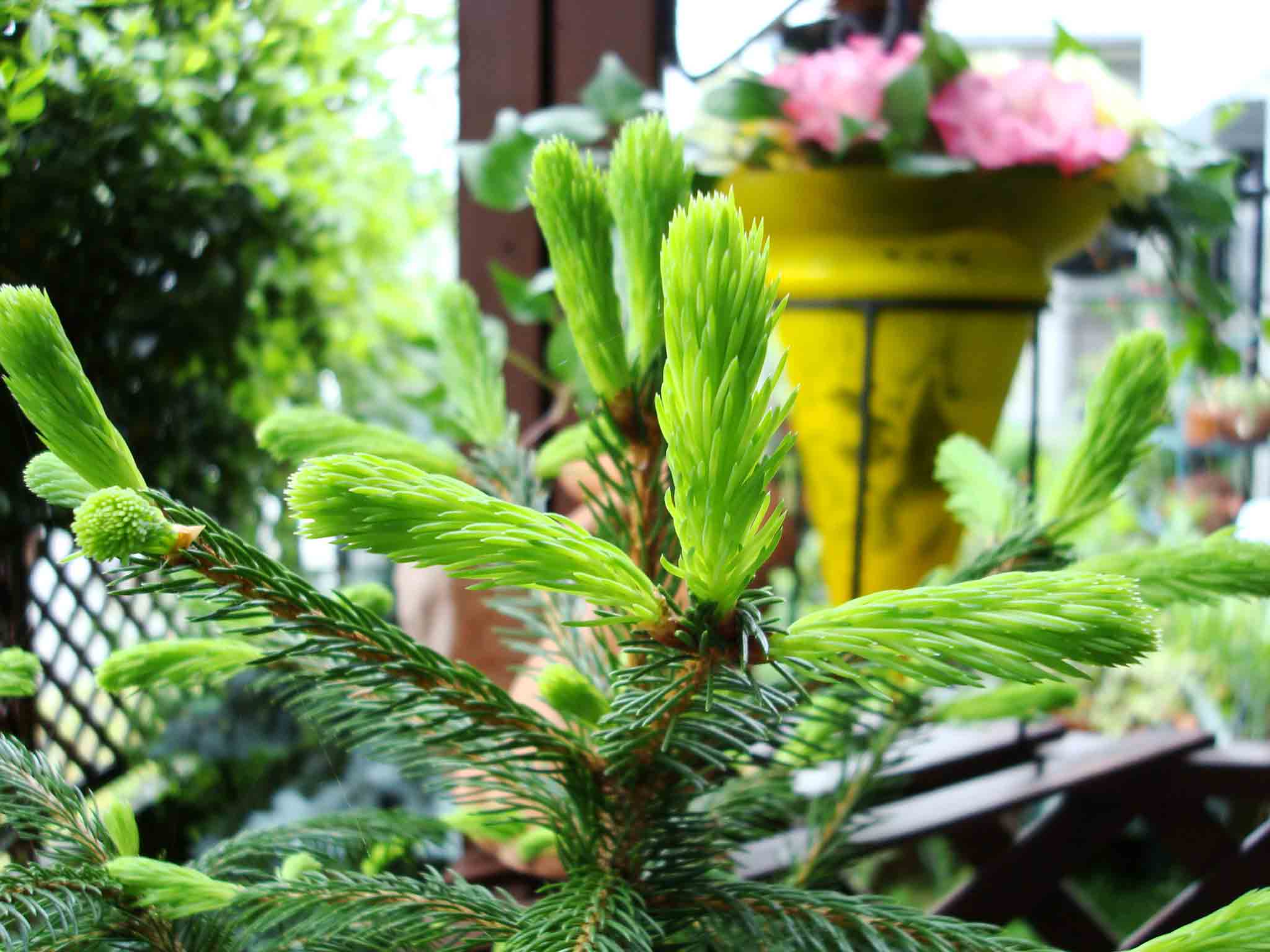 指先で感じる 旬 マキノ レター