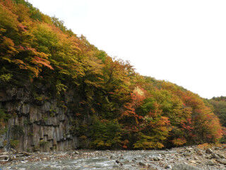 松川の紅葉と岩手山初冠雪 牧野林 Makinobayashi 松川の紅葉と岩手山初冠雪 牧野林 Makinobayashi