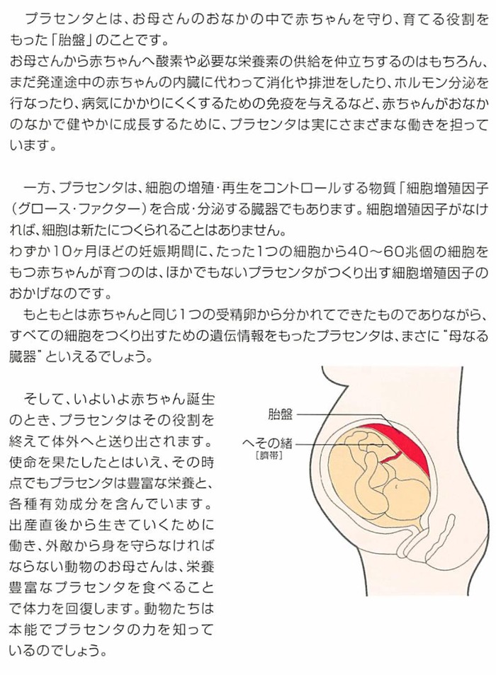 プラセンタ01