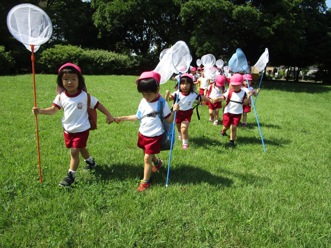 虫とり遠足 まきの幼稚園ブログ