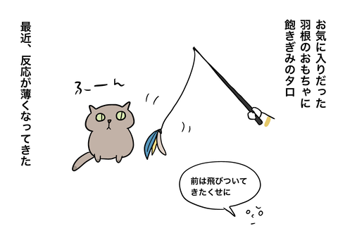 A084F899-F4A9-4B69-9B7E-B62A461758D3