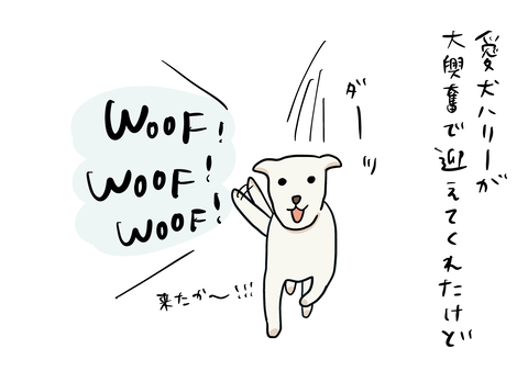 478D6328-65C7-4BDF-98BD-4B54806ED240