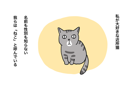 C5822043-3C6B-44C9-8780-8DEEC861533A