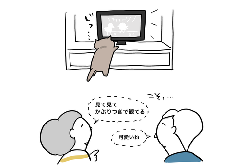 00AACC73-88E4-4444-8CC3-4F856DE71619