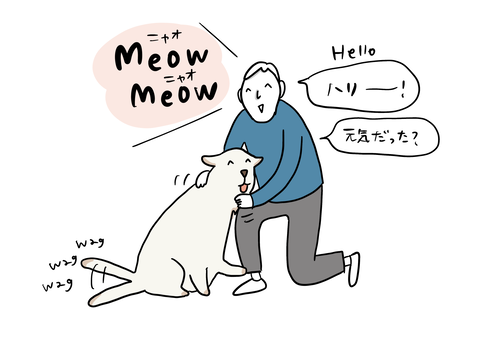 3F8C806C-9387-4C78-9130-FD3A20E58653