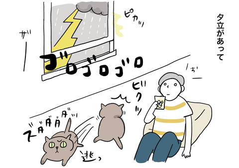 B2FABF6B-362D-44F1-A969-5A8DC8267819