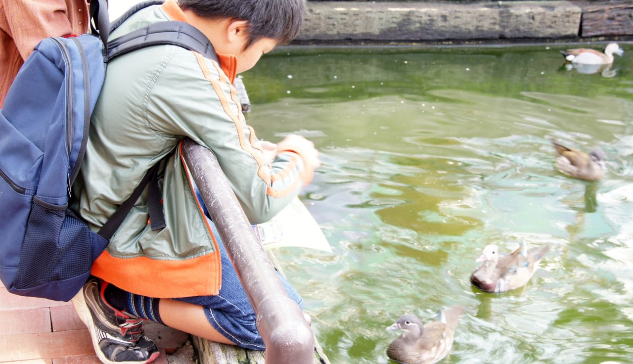 10月30日 掛川花鳥園と厄除観音 法多山 尊永寺の日帰り招待旅行 掛川花鳥園編 心と心のオアシスのblog 10月30日 掛川花鳥園と厄除観音 法多山 尊永寺の日帰り招待旅行 掛川花鳥園編 心と心のオアシスのblog