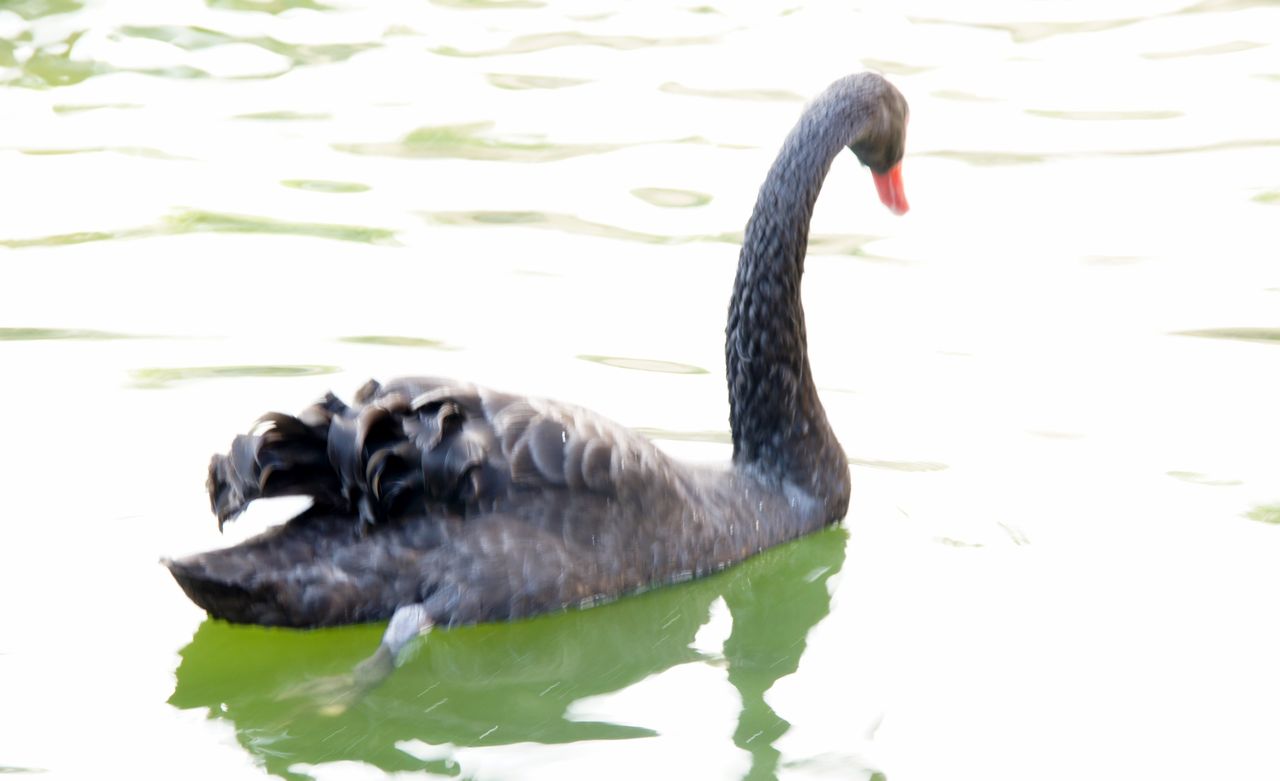 10月30日 掛川花鳥園と厄除観音 法多山 尊永寺の日帰り招待旅行 掛川花鳥園編 心と心のオアシスのblog 10月30日 掛川花鳥園と厄除観音 法多山 尊永寺の日帰り招待旅行 掛川花鳥園編 心と心のオアシスのblog
