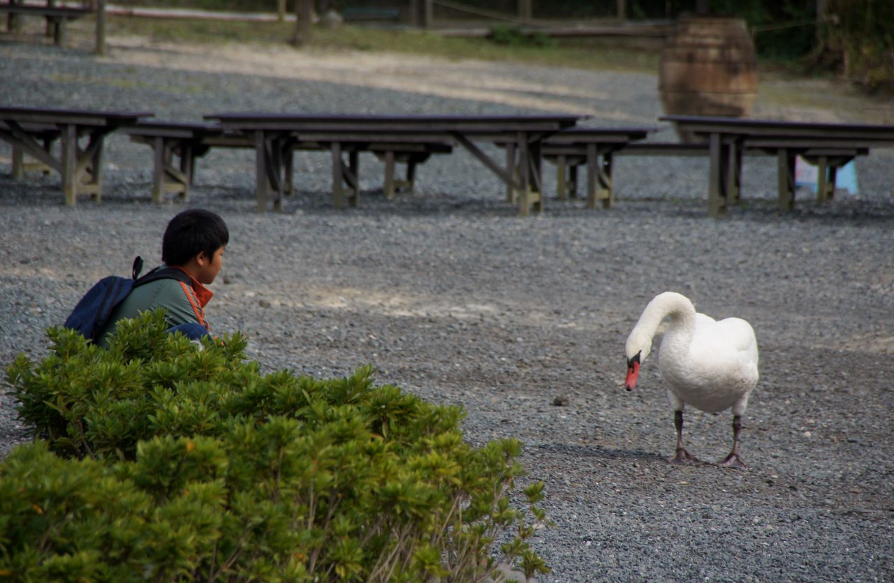 10月30日 掛川花鳥園と厄除観音 法多山 尊永寺の日帰り招待旅行 掛川花鳥園編 心と心のオアシスのblog 10月30日 掛川花鳥園と厄除観音 法多山 尊永寺の日帰り招待旅行 掛川花鳥園編 心と心のオアシスのblog