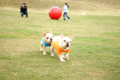 DSC02006
