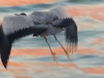 HORIZON_0001_BURST20251103165645483_COVER