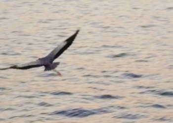 HORIZON_0002_BURST20251227164554207