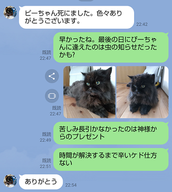 Screenshot_20230731-211210