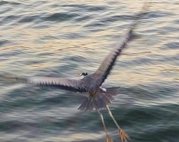 HORIZON_0002_BURST20251227164552166