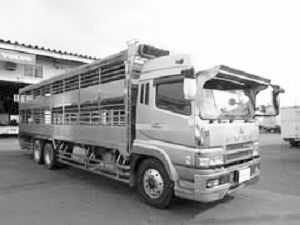 truck
