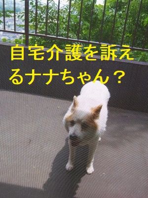 20190628_115934