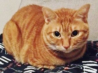 74727da6 - コピー (2)