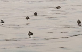 CENTER_0001_BURST20251227165932590_COVER