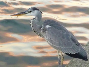 HORIZON_0002_BURST20251103165634079