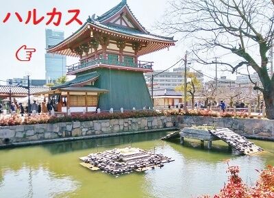 20200321_133135_HDR