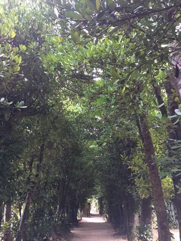 74234754-6B1C-4EA1-B4F0-2A8E3EC7B01E