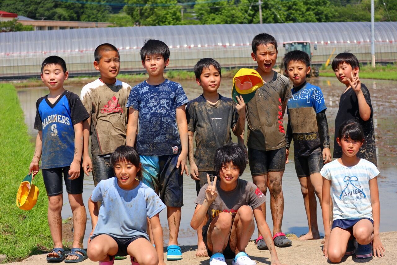 5年生 田んぼの学校 代かき 6月23日 牧ブロ