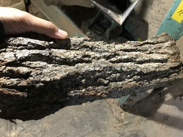 木の皮チップにしてみました 堅木屋ブログ 木の皮チップにしてみました 堅木屋ブログ