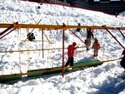 IMG_3071