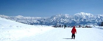 IMG_3040