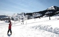 IMG_30531