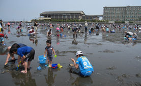 潮干狩り 竜宮城ホテル三日月 赤羽ママの子連れでおでかけっつ