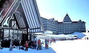 IMG_3031