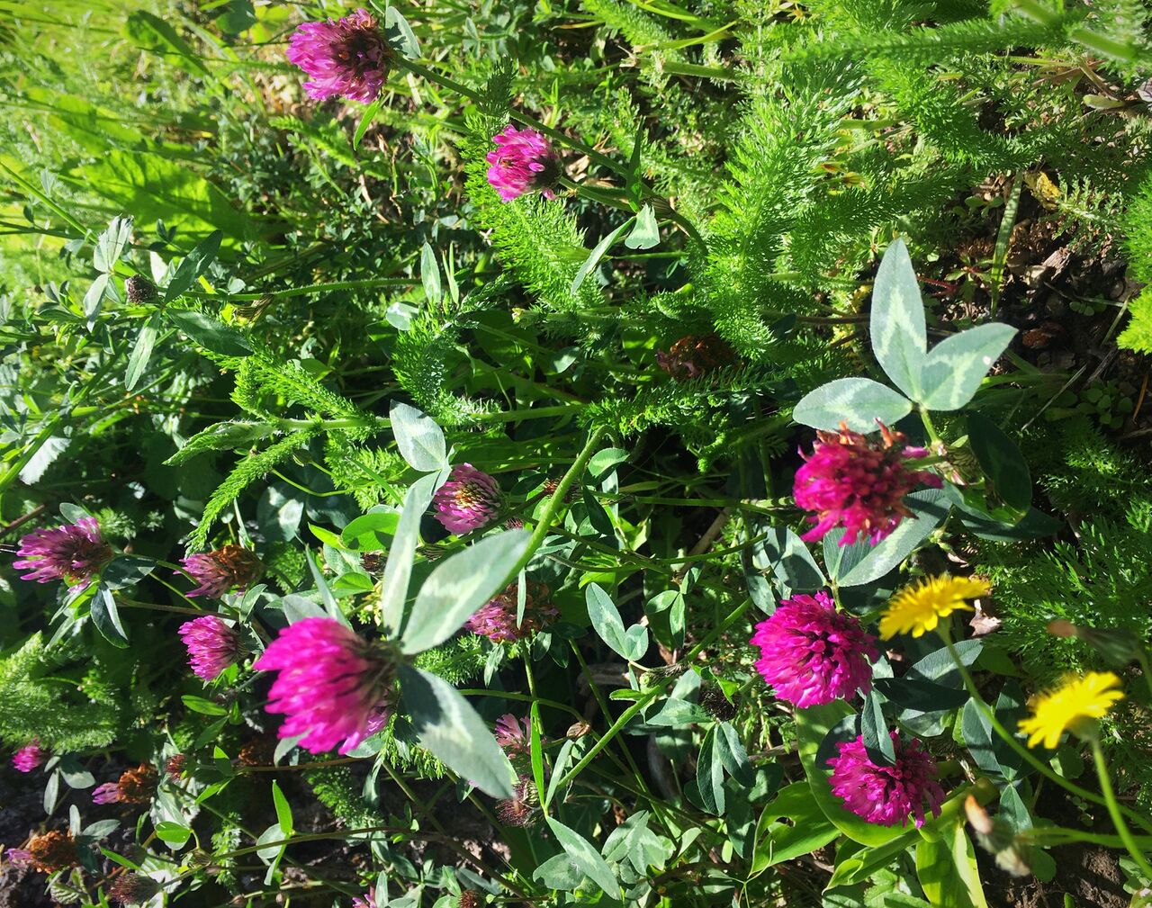 makky's blog 〜幸せのお裾分け〜 第7回スピリチュアル講座no.4 コメント Makky