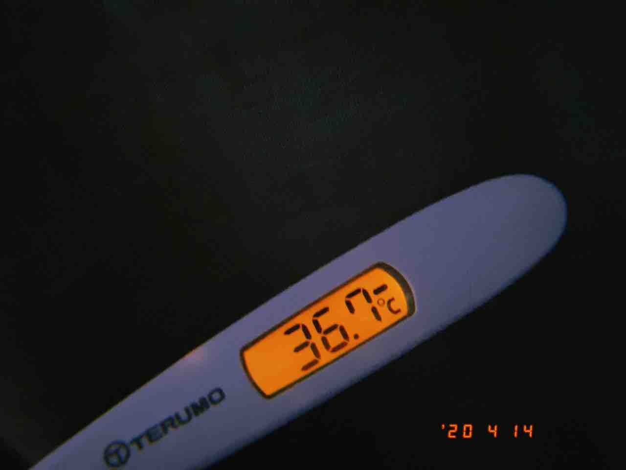 4 14 検温結果と生理中の痛み止めと病院デートの話 まこブログ