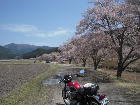 DSCN1385