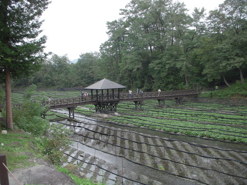 DSCN0435