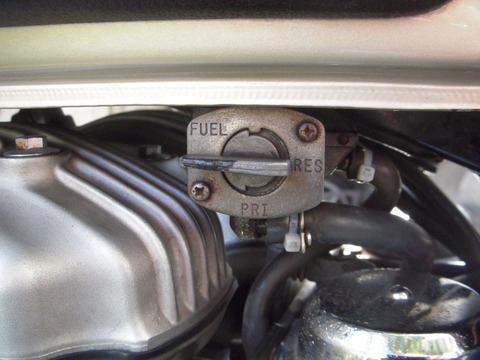 DSCN0962
