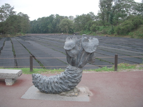 DSCN0432