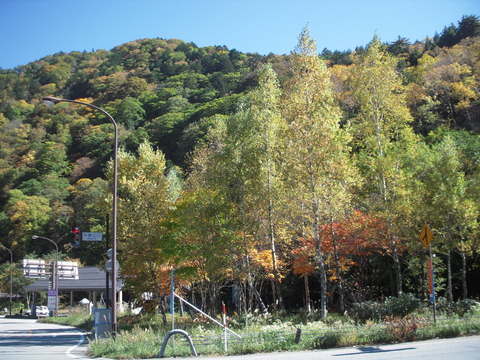 DSCN0468
