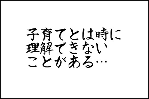oto-205_001-min