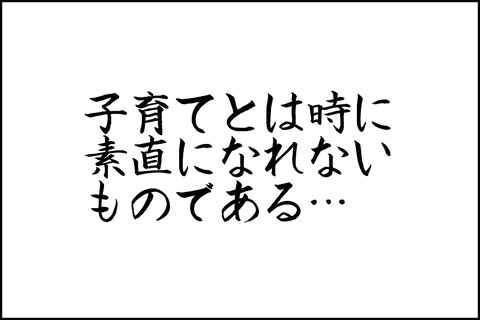 oto-211_001-min