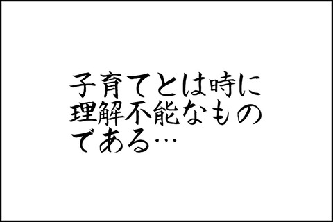 oto-113_001-min