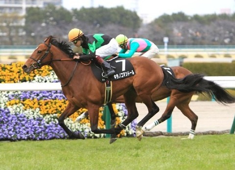 1 競馬 キタノコマンドール