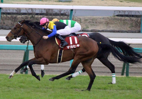 makahikiyayoi