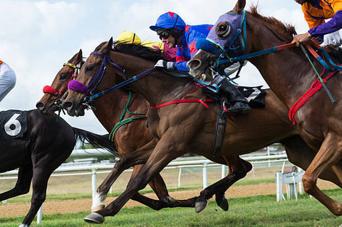 1 競馬　ナナコ