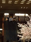 2015-03-29-17-11-41