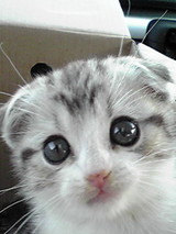 �ͤ������