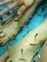 ����ä��㤪�롪