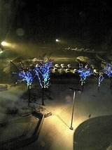 積もり始めた雪